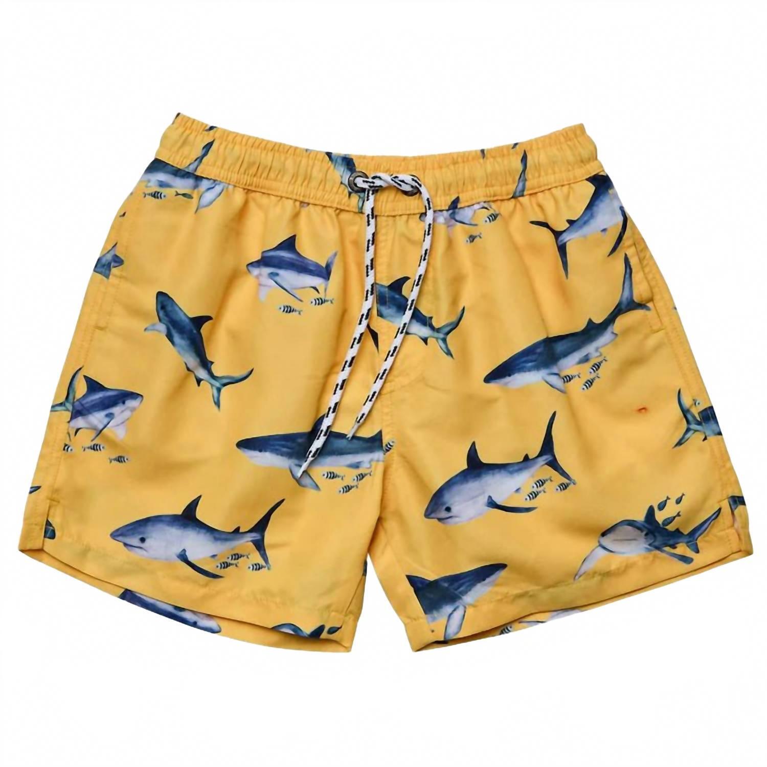 New Snapper Rock Boys Sunrise Shark Volley Board Shorts In Yellow